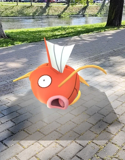 Magikarp v Pokémon GO