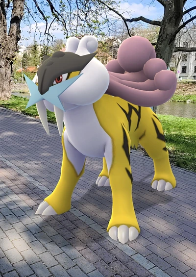 Raikou v Pokémon GO