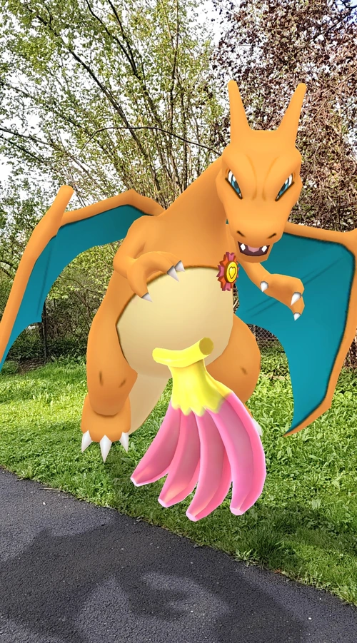 Buddy Pokémon s bobulí v rozšířené realitě v Pokémon GO