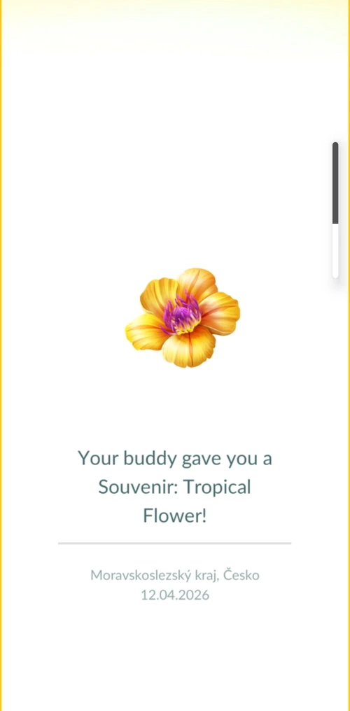 Suvenýr od buddy Pokémona ve hře Pokémon GO